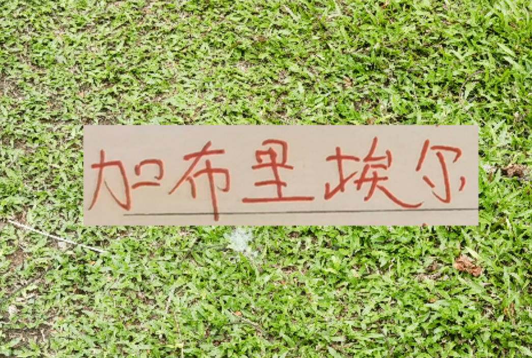 PG电子-拦不住申花降维打击！加布里不管咋样也是 低配版海港巴尔加斯